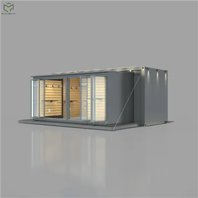 Versiune de 20 GP magazin de containere extensibile